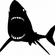 Shark