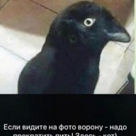 Aleksandr