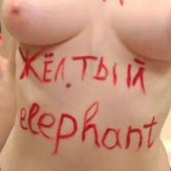 yellowelephant