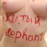 yellowelephant